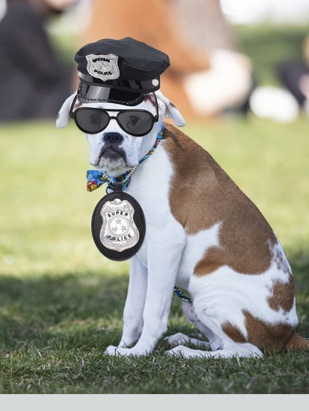 Police Dog Costume Hat, Badge, Shades - Black